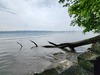 20250517_094944.jpg