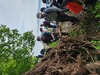 20250517_095855.jpg