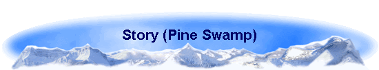 Story (Pine Swamp)